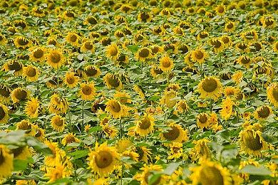 《虚幻》PSX重制项目对比截图分享